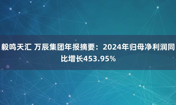毅鸣天汇 万辰集团年报摘要：2024年归母净利润同比增长453.95%