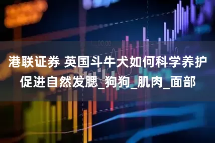 港联证券 英国斗牛犬如何科学养护促进自然发腮_狗狗_肌肉_面部
