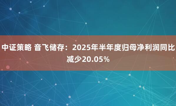 中证策略 音飞储存：2025年半年度归母净利润同比减少20.05%